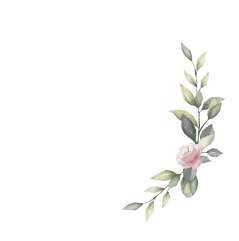 EP Peluquería Orgánica